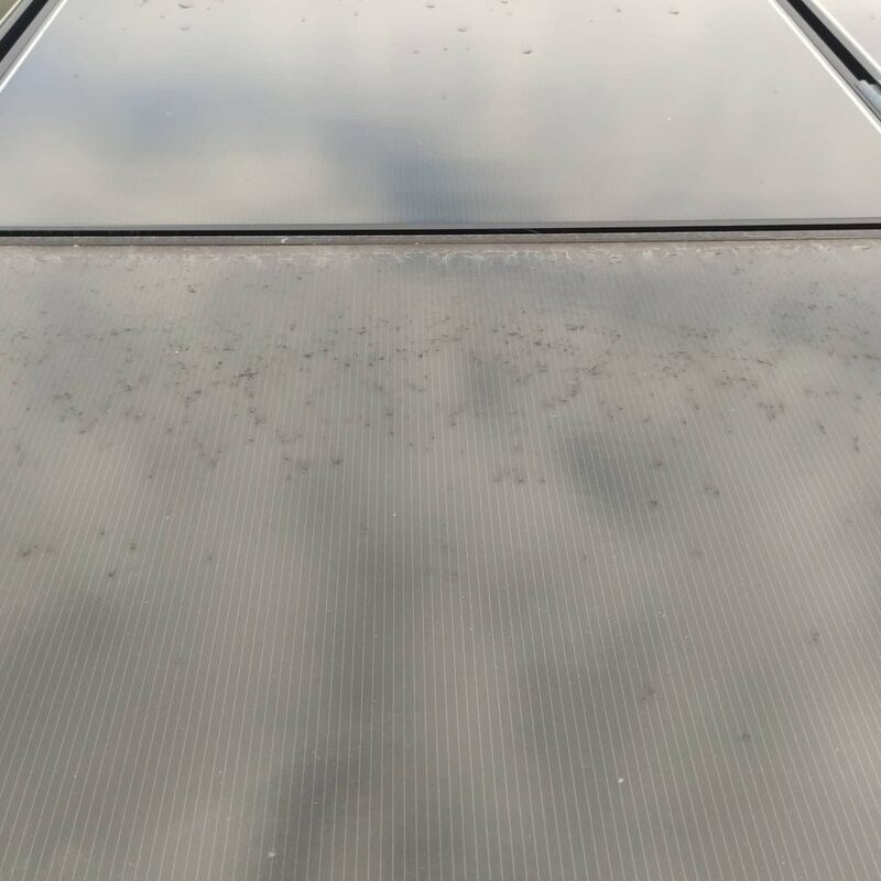 Stegplattendach eines Wintergartens, oberer Bereich gereinigt, unterer noch verschmutzt